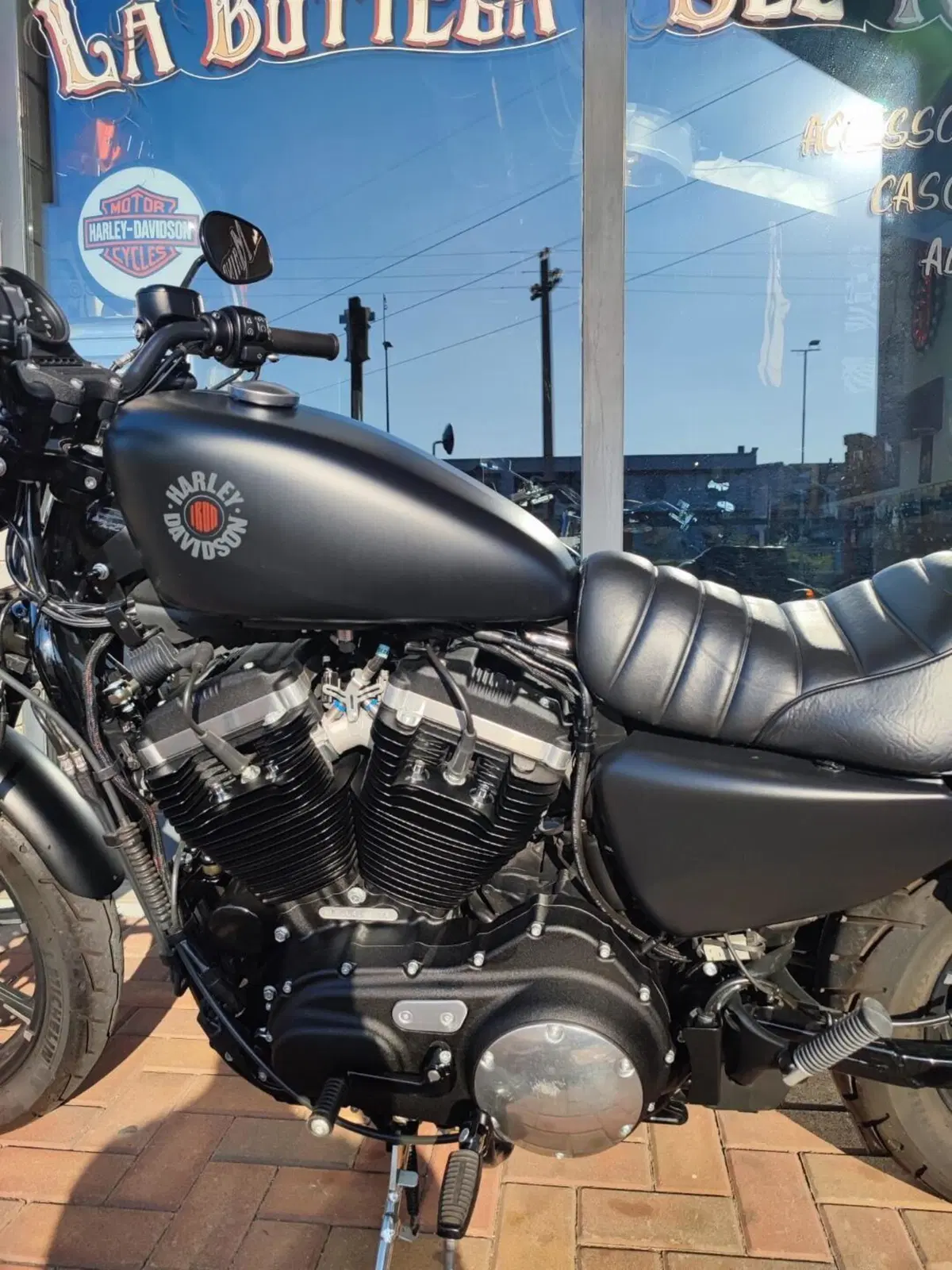 Harley-Davidson 883 Iron (2017 - 20) - XL 883N (7)