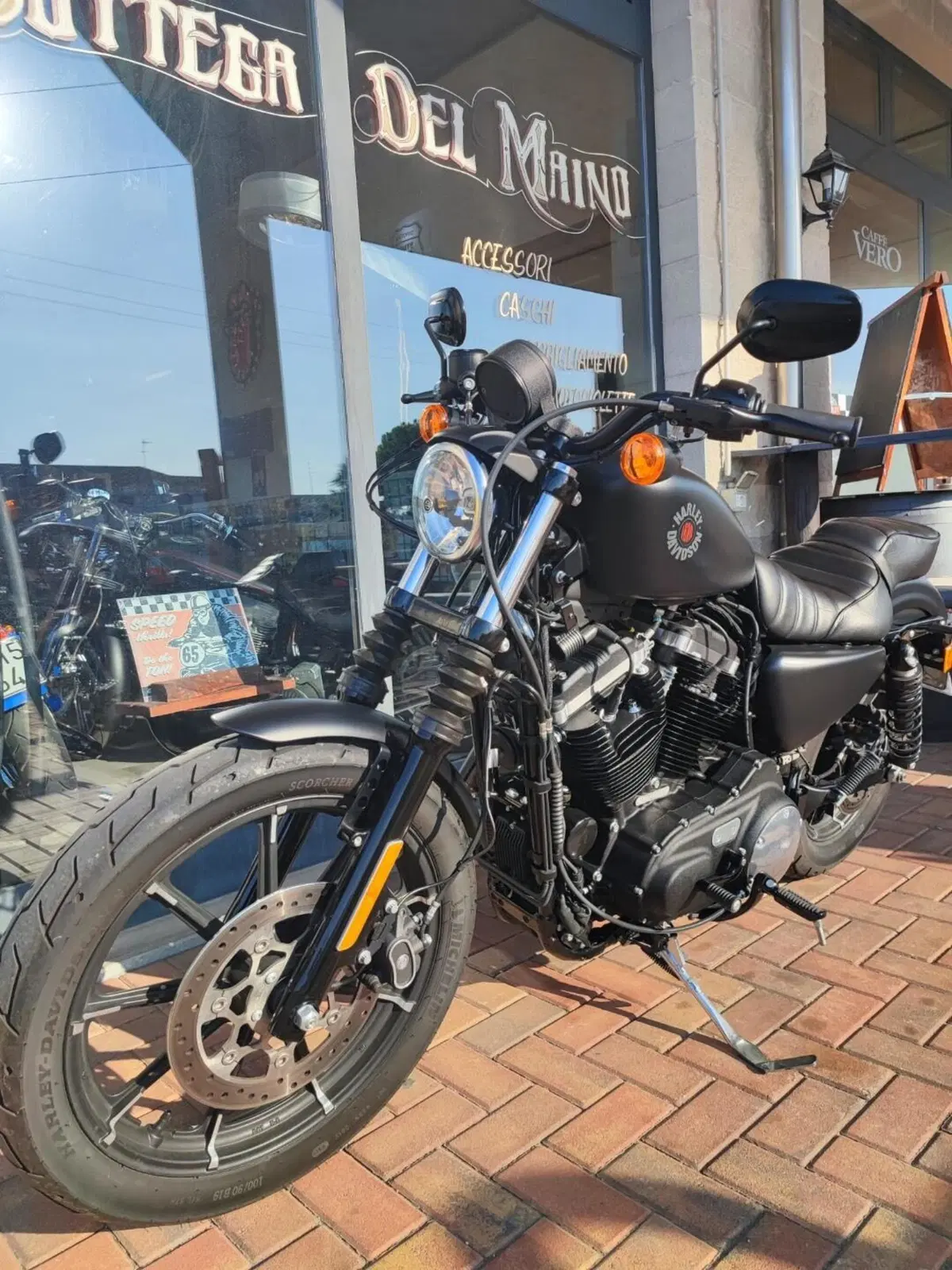 Harley-Davidson 883 Iron (2017 - 20) - XL 883N (9)