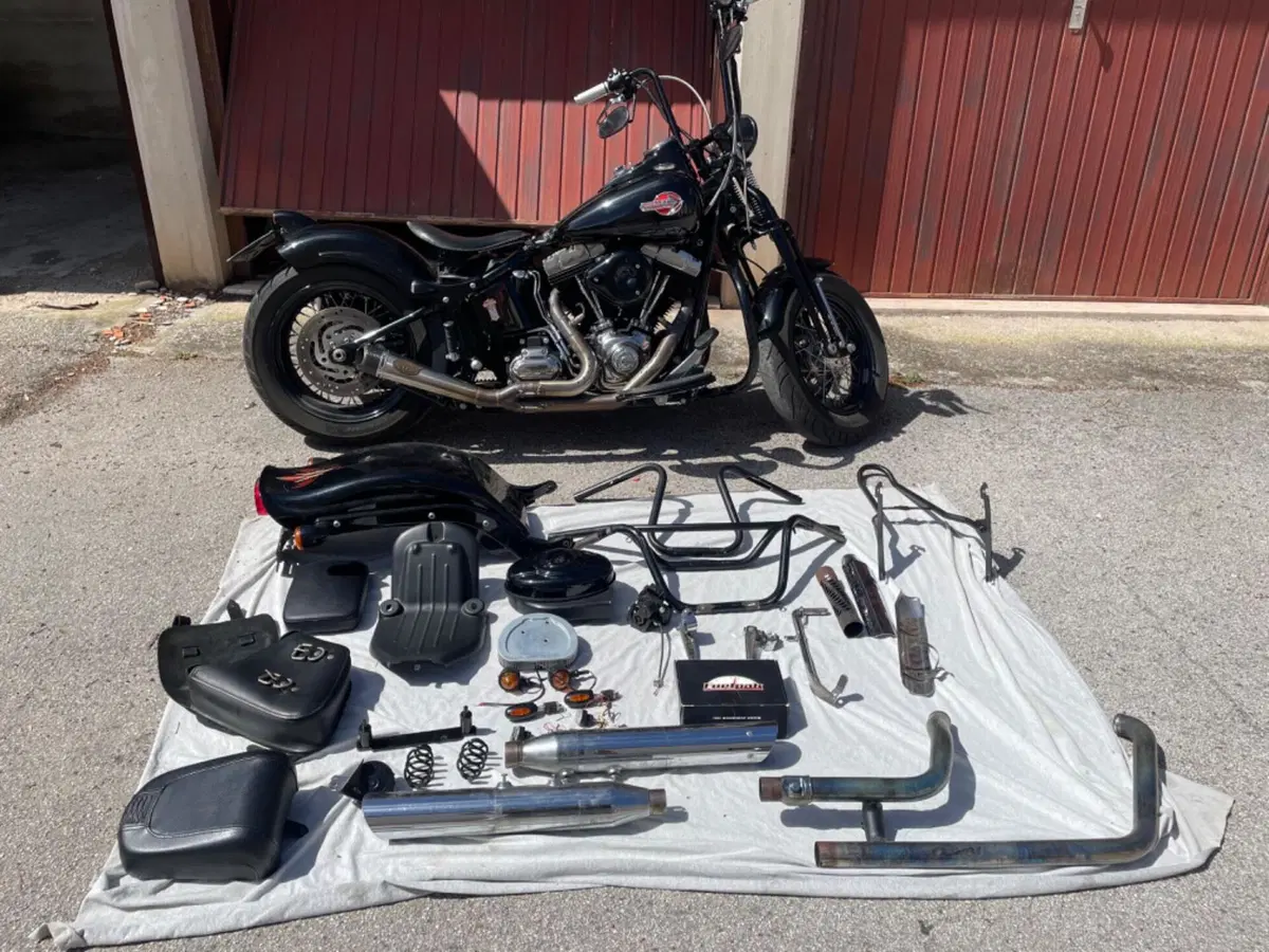 Harley-Davidson 1584 Cross Bones (2008 - 11) - FLSTSB (2)