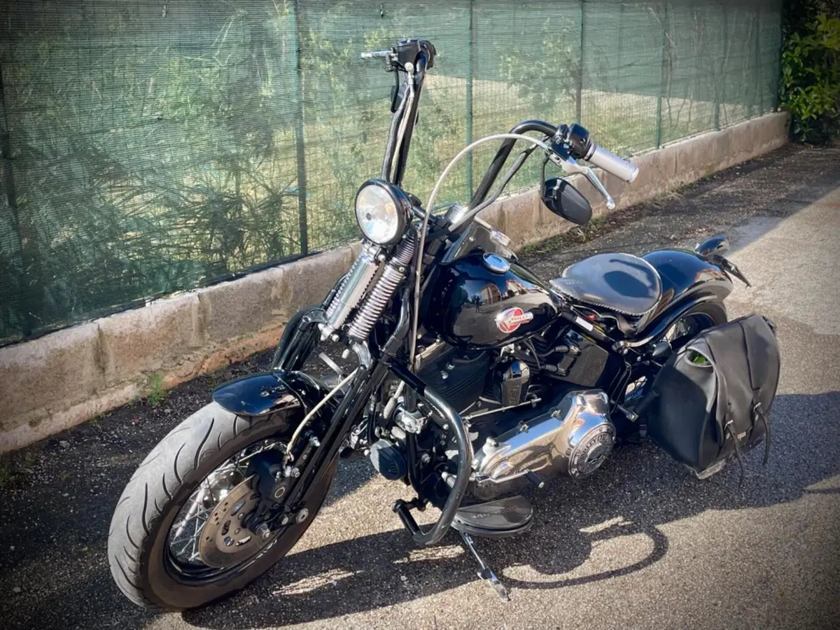 Harley-Davidson 1584 Cross Bones (2008 - 11) - FLSTSB (6)