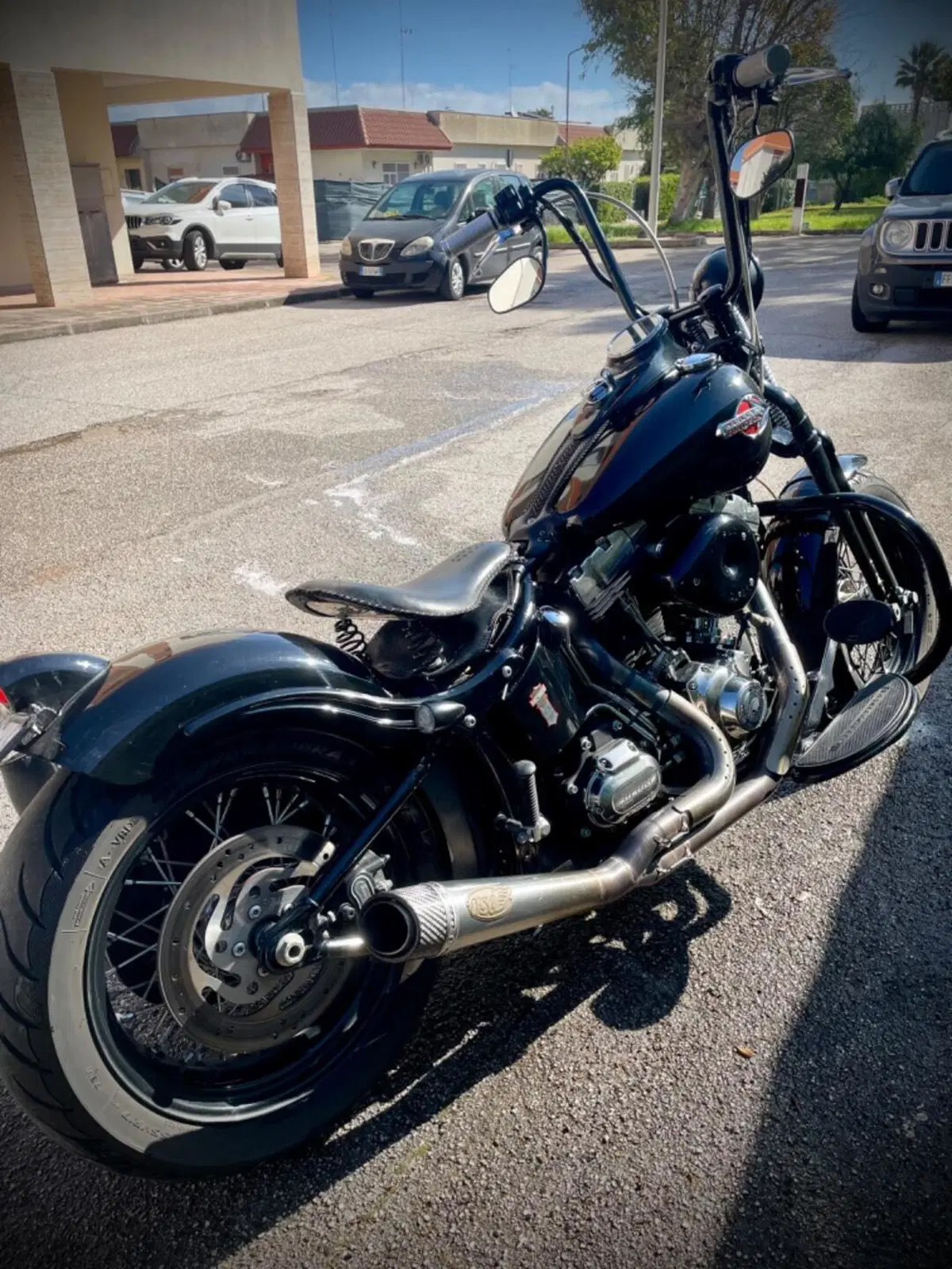 Harley-Davidson 1584 Cross Bones (2008 - 11) - FLSTSB (8)