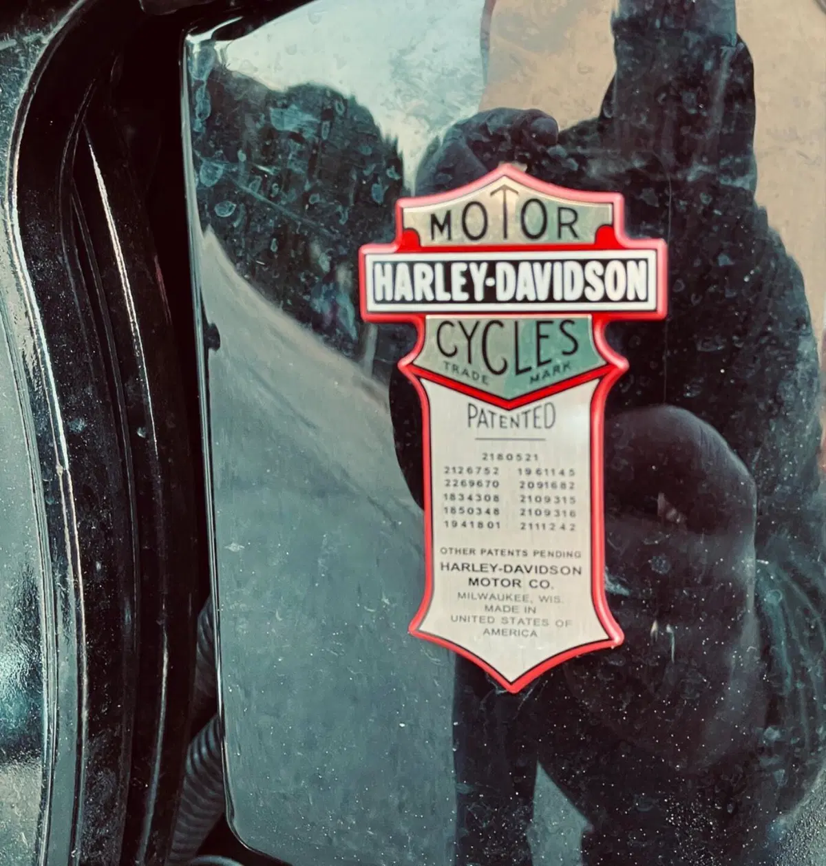Harley-Davidson 1584 Cross Bones (2008 - 11) - FLSTSB (11)