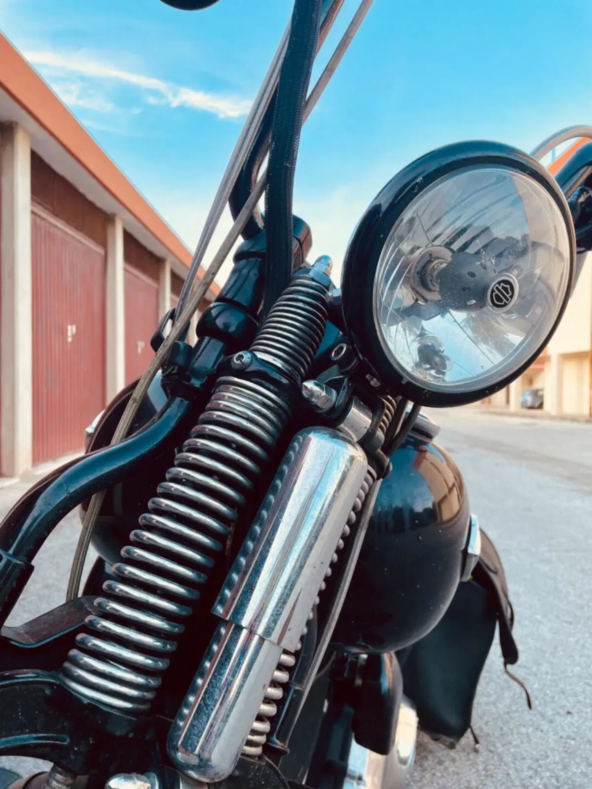 Harley-Davidson 1584 Cross Bones (2008 - 11) - FLSTSB (13)