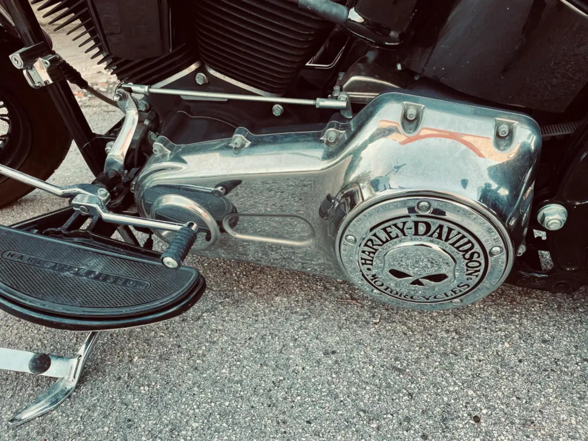 Harley-Davidson 1584 Cross Bones (2008 - 11) - FLSTSB (16)