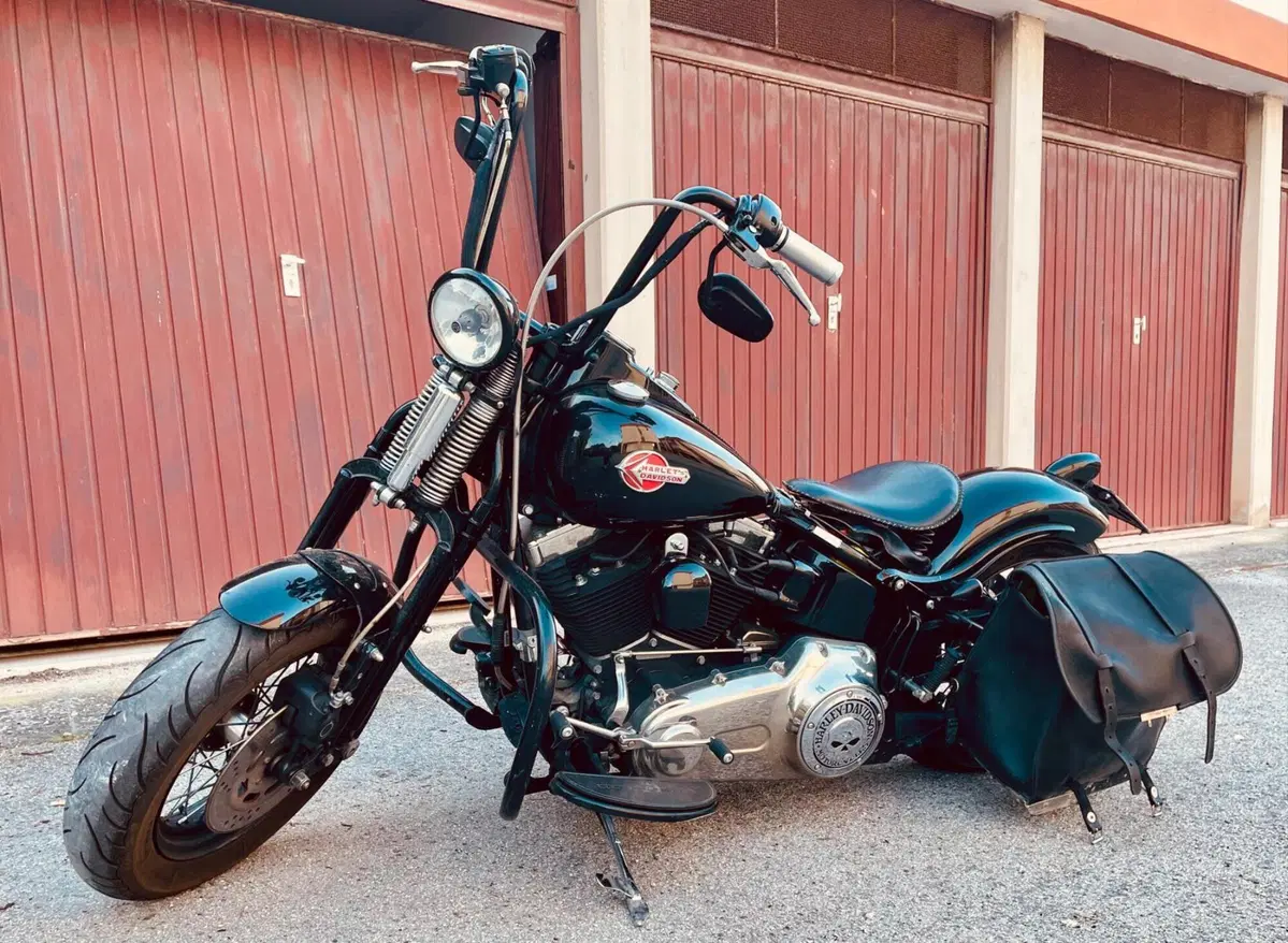 Harley-Davidson 1584 Cross Bones (2008 - 11) - FLSTSB (18)