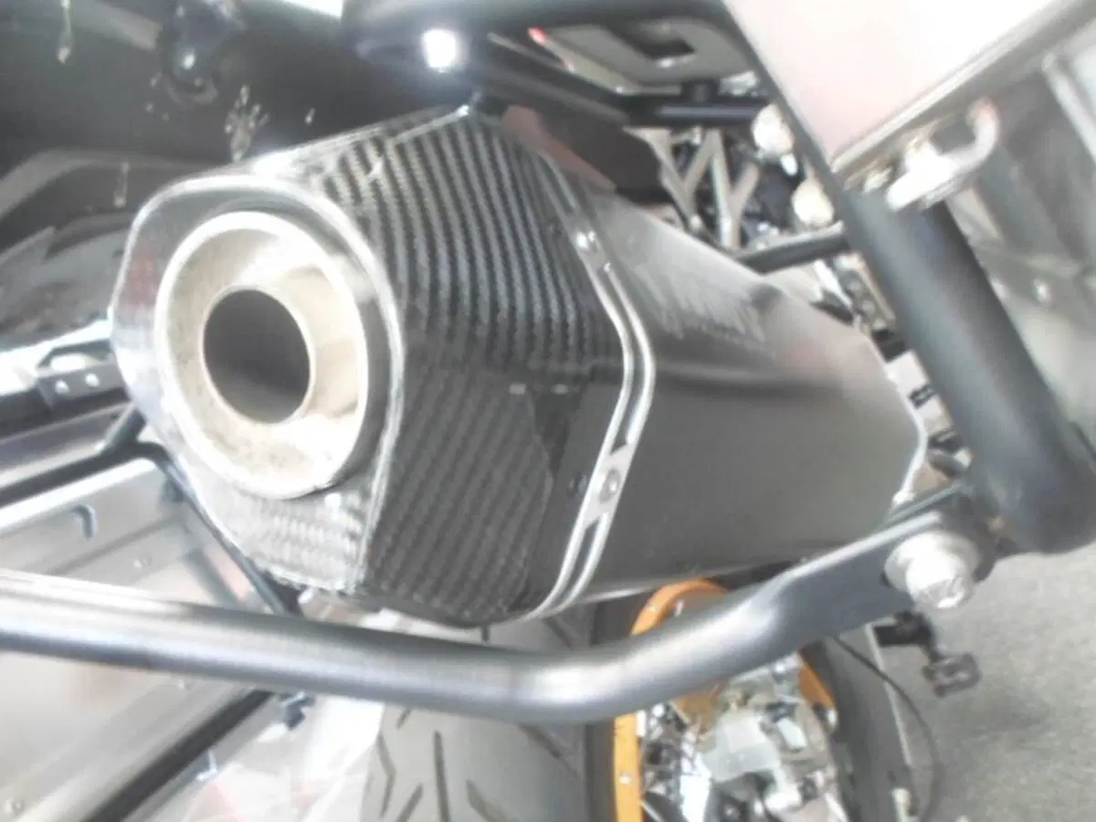 QJ Motor SRT 800 SX (2024 - 25) (8)