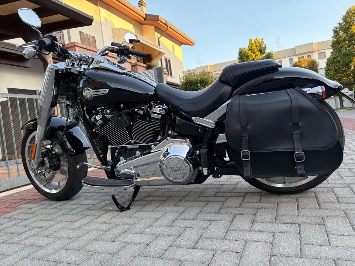 Harley-Davidson Fat Boy 114 (2021 - 24) (6)