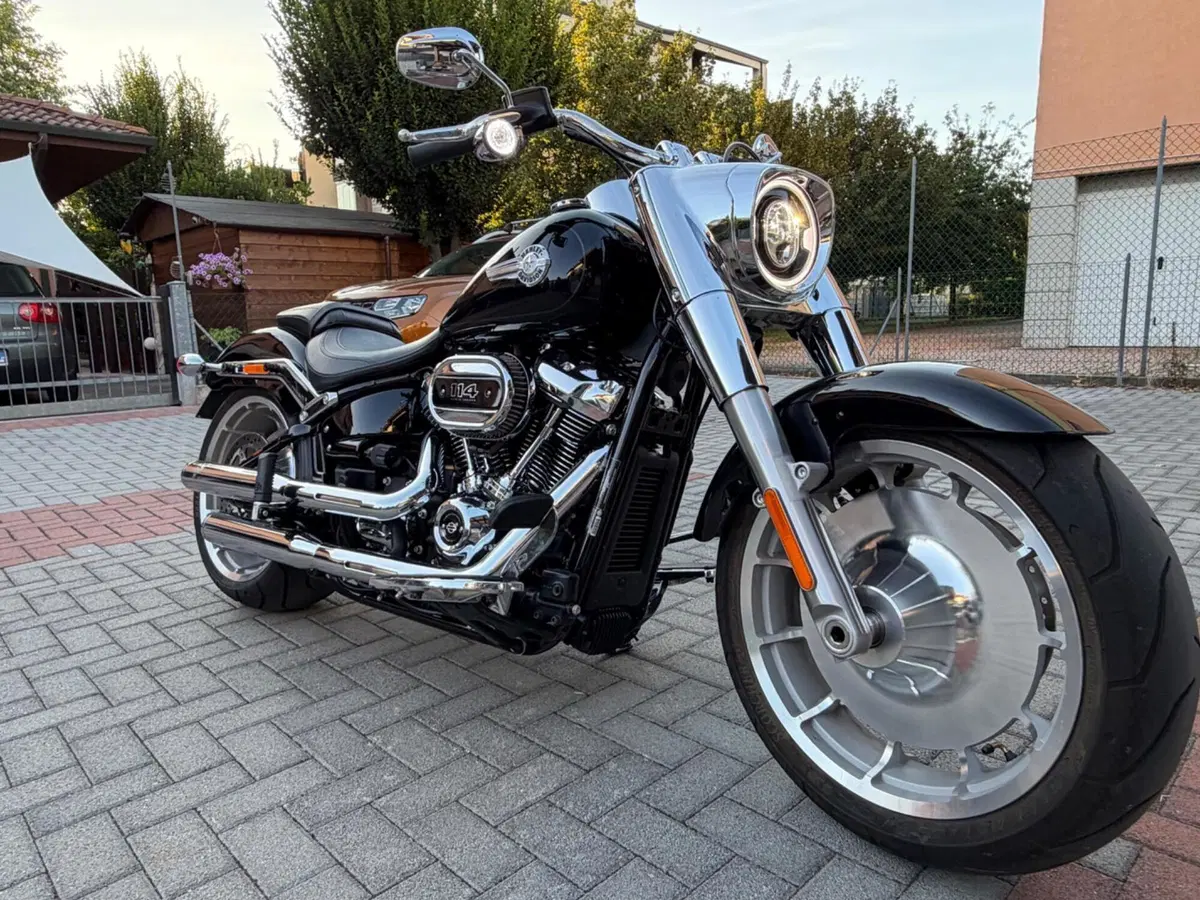 Harley-Davidson Fat Boy 114 (2021 - 24) (7)