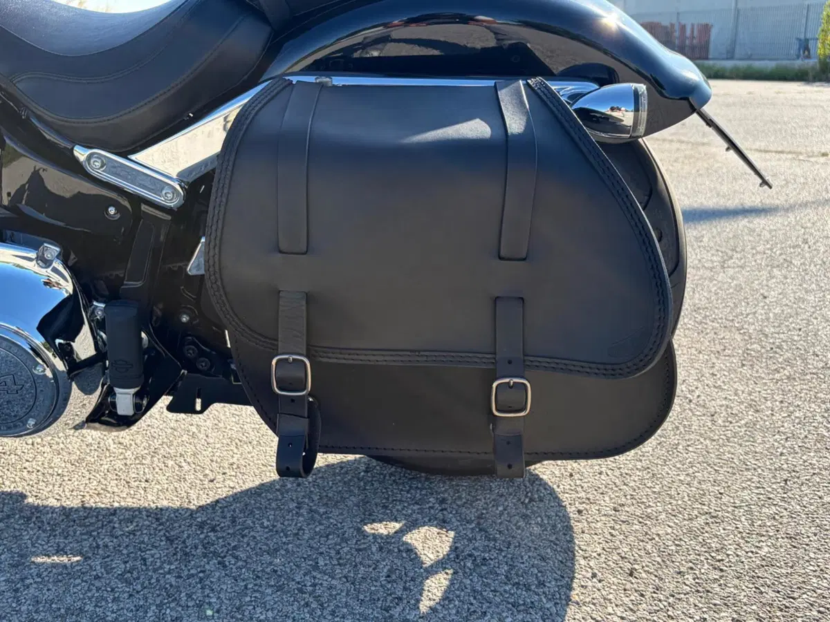 Harley-Davidson Fat Boy 114 (2021 - 24) (9)