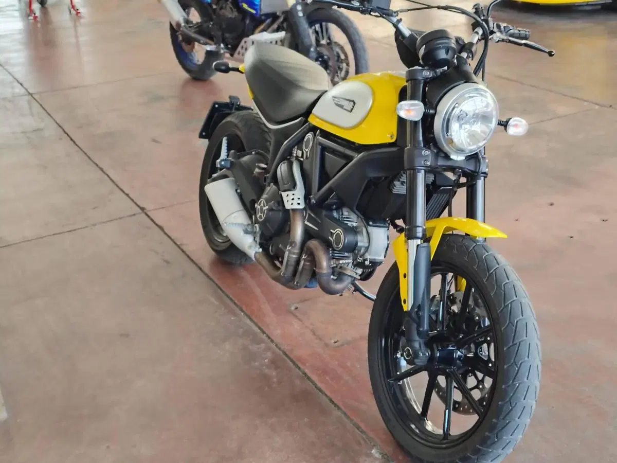 Ducati Scrambler 800 Icon (2015 - 16) (5)