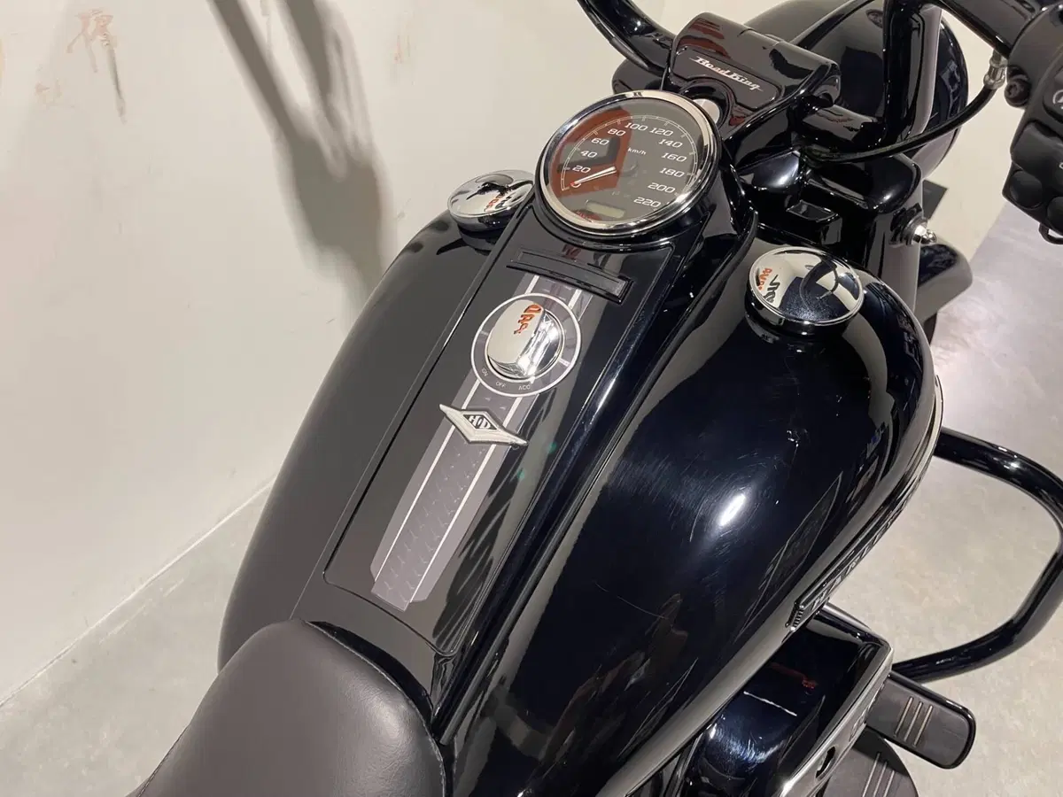Harley-Davidson 114 Road King Special (2019 - 20) - FLHR (7)