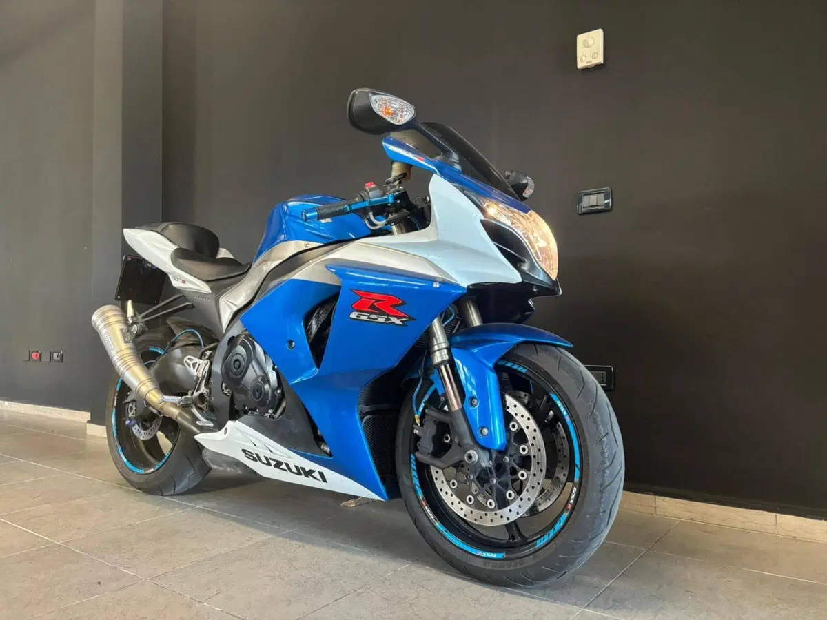 Suzuki GSX-R1000 (2009 - 11) (3)