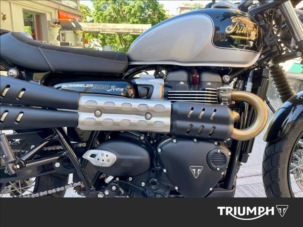 Triumph Scrambler 900 Icon Edition (2025 - 26) (7)