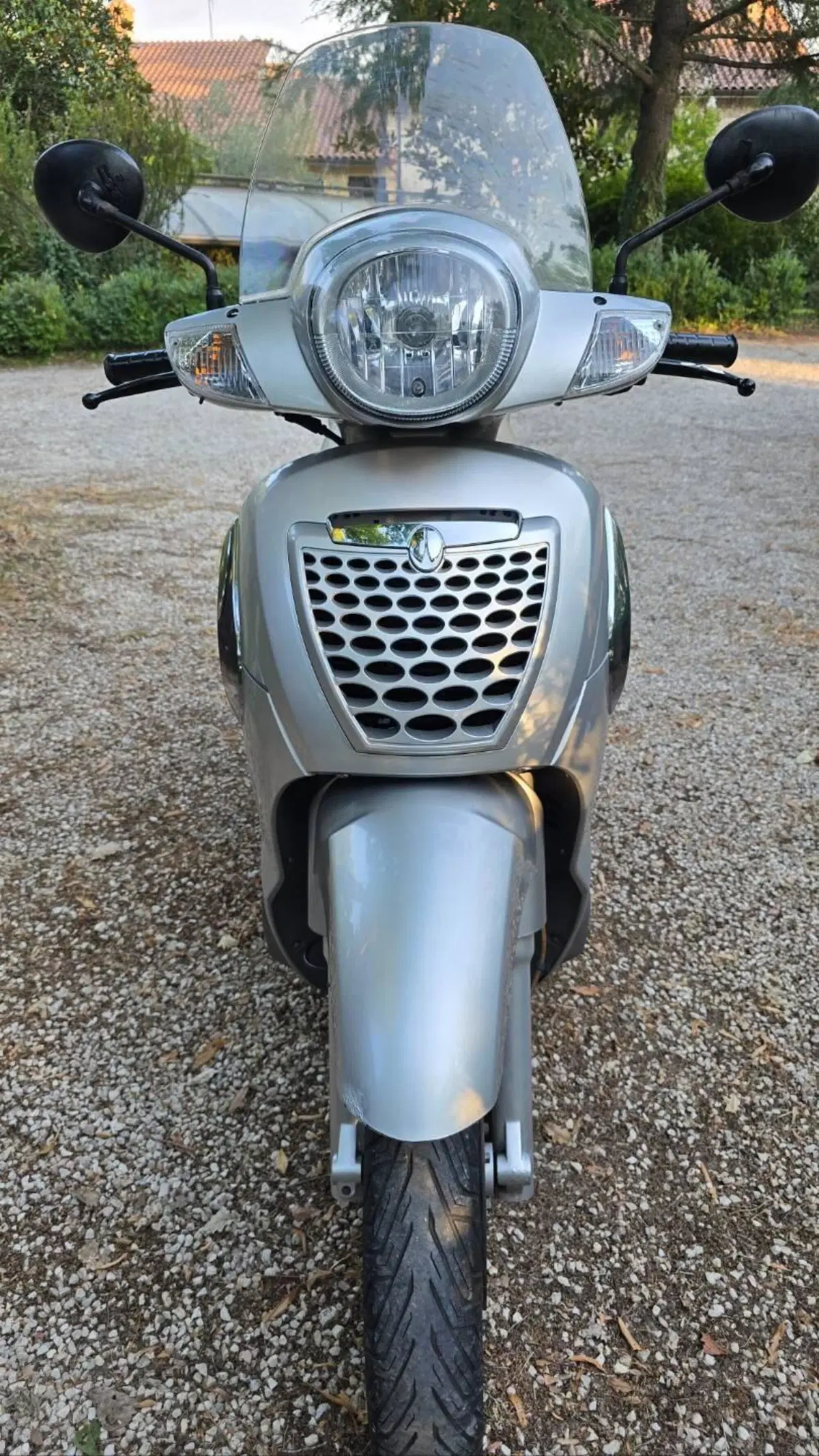 Aprilia Scarabeo 200 i.e. (2009 - 11) (5)