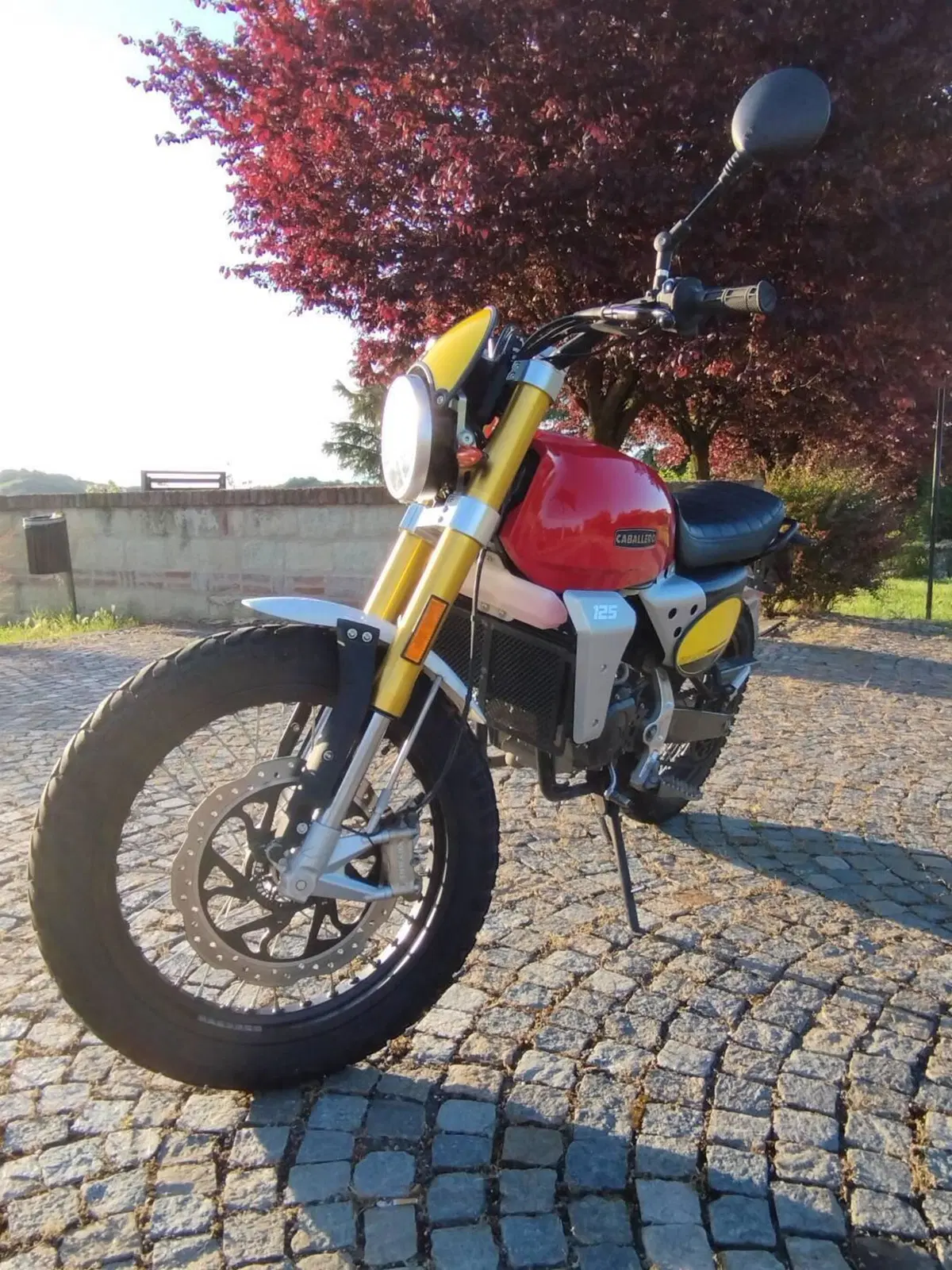 Fantic Motor Caballero 125 Scrambler (2021 - 23) (4)
