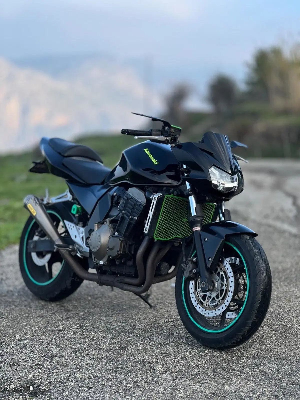 Kawasaki Z 750 (2003 - 06) (2)