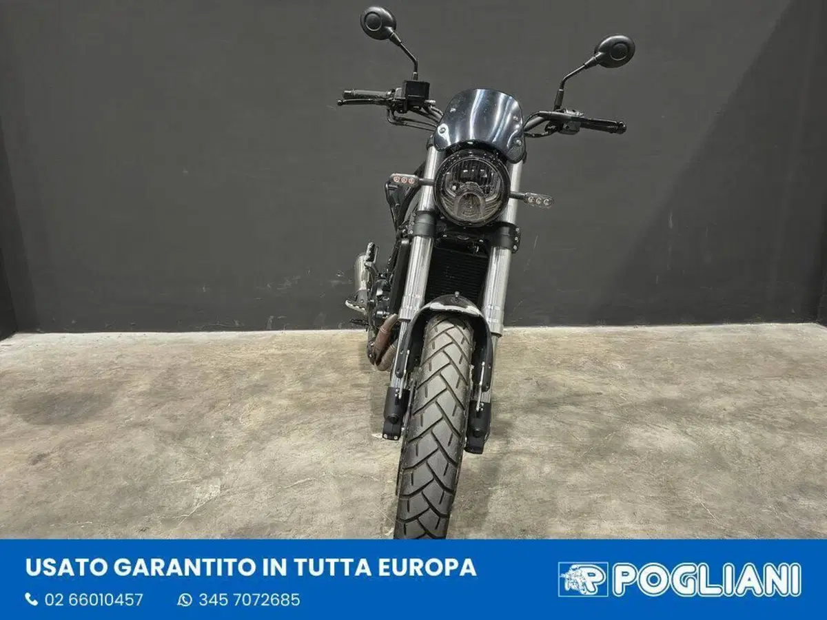 Benelli Leoncino 500 Trail (2021 - 26) (3)