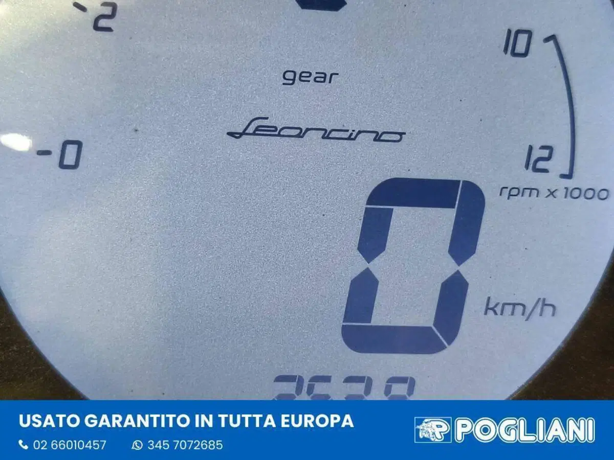 Benelli Leoncino 500 Trail (2021 - 26) (13)