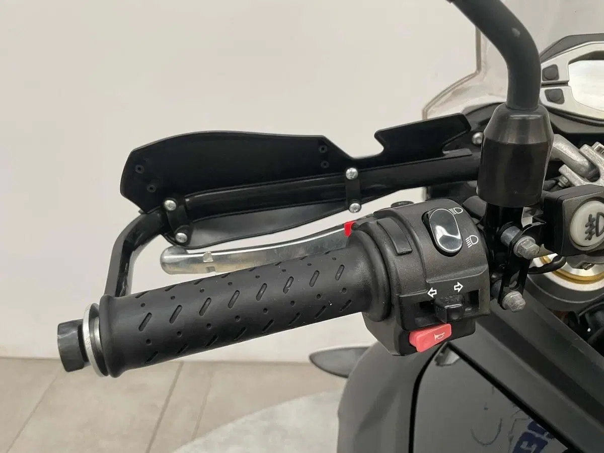 Triumph Tiger 800 ABS (2010 - 14) (7)
