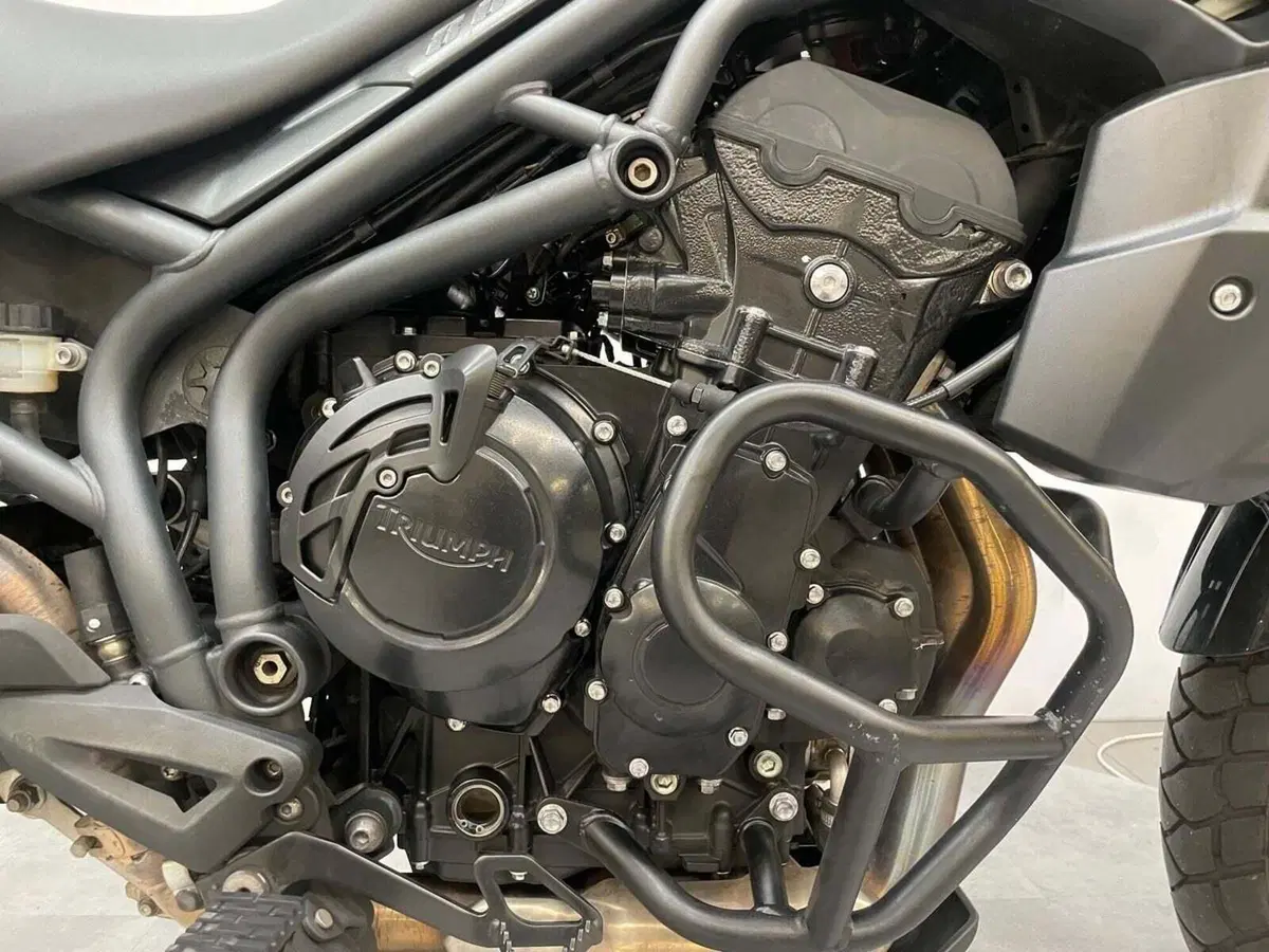 Triumph Tiger 800 ABS (2010 - 14) (9)