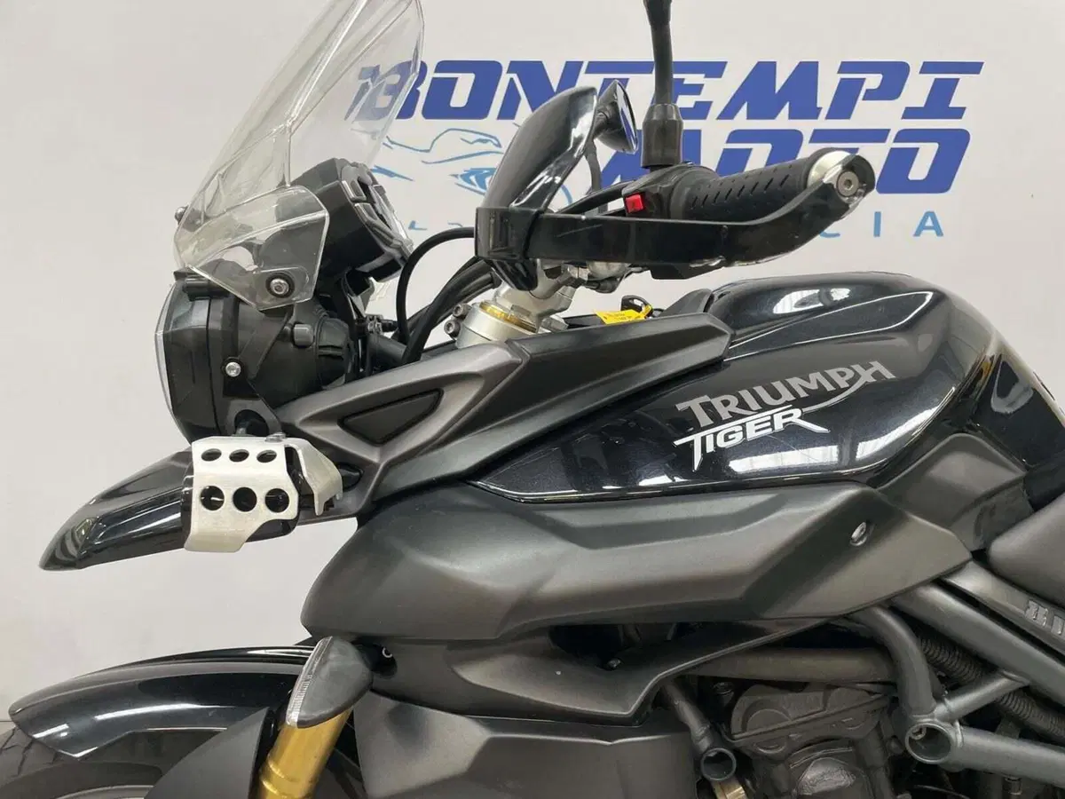 Triumph Tiger 800 ABS (2010 - 14) (10)
