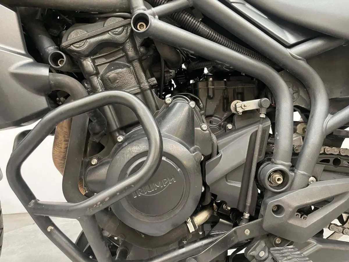 Triumph Tiger 800 ABS (2010 - 14) (11)