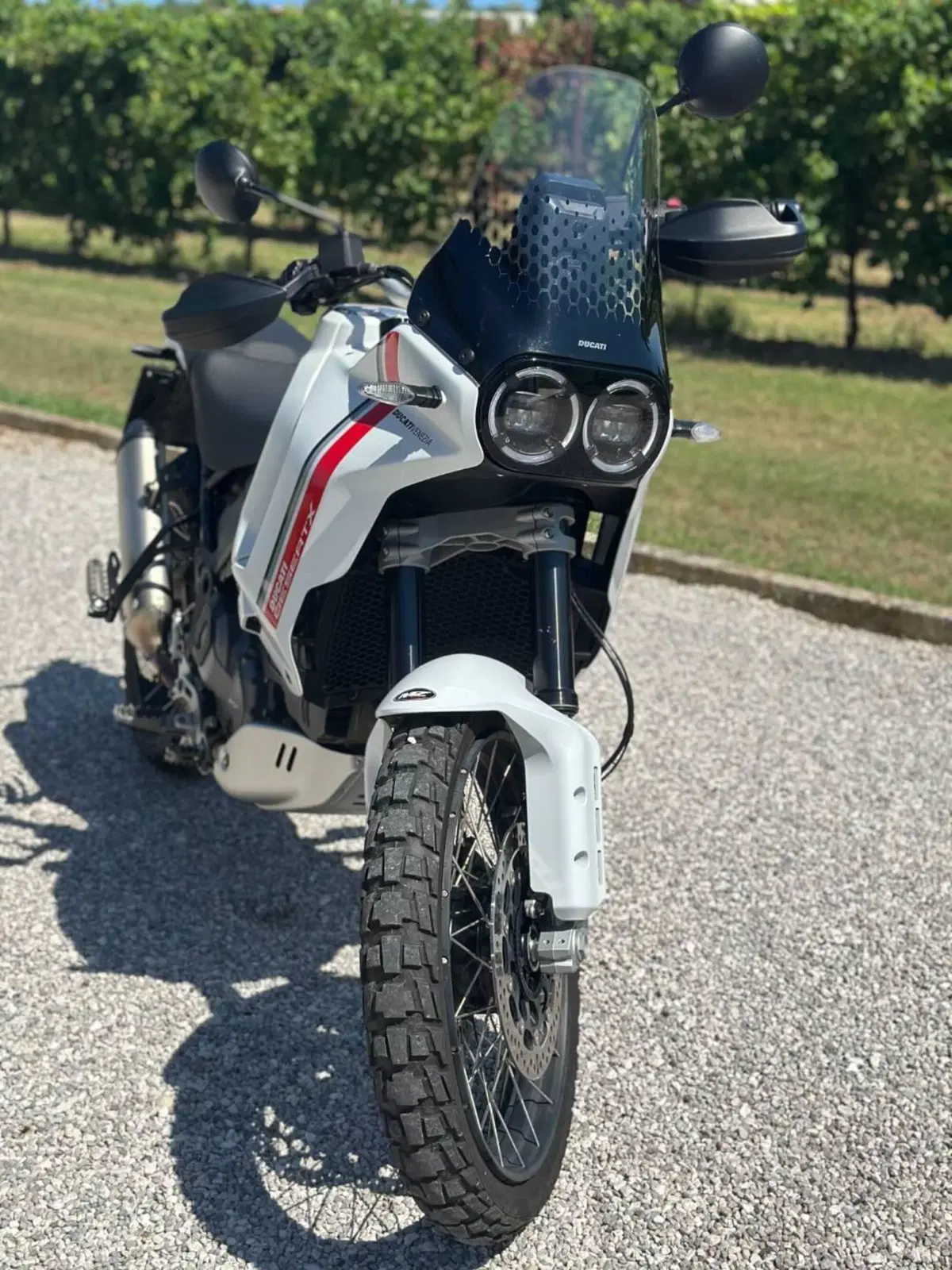 Ducati DesertX (2022 - 25)