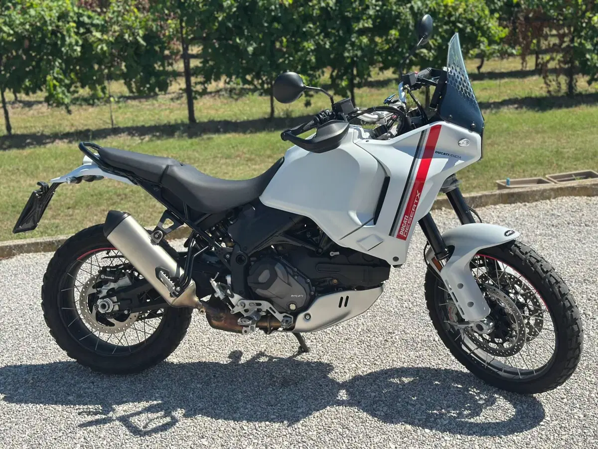Ducati DesertX (2022 - 25) (11)