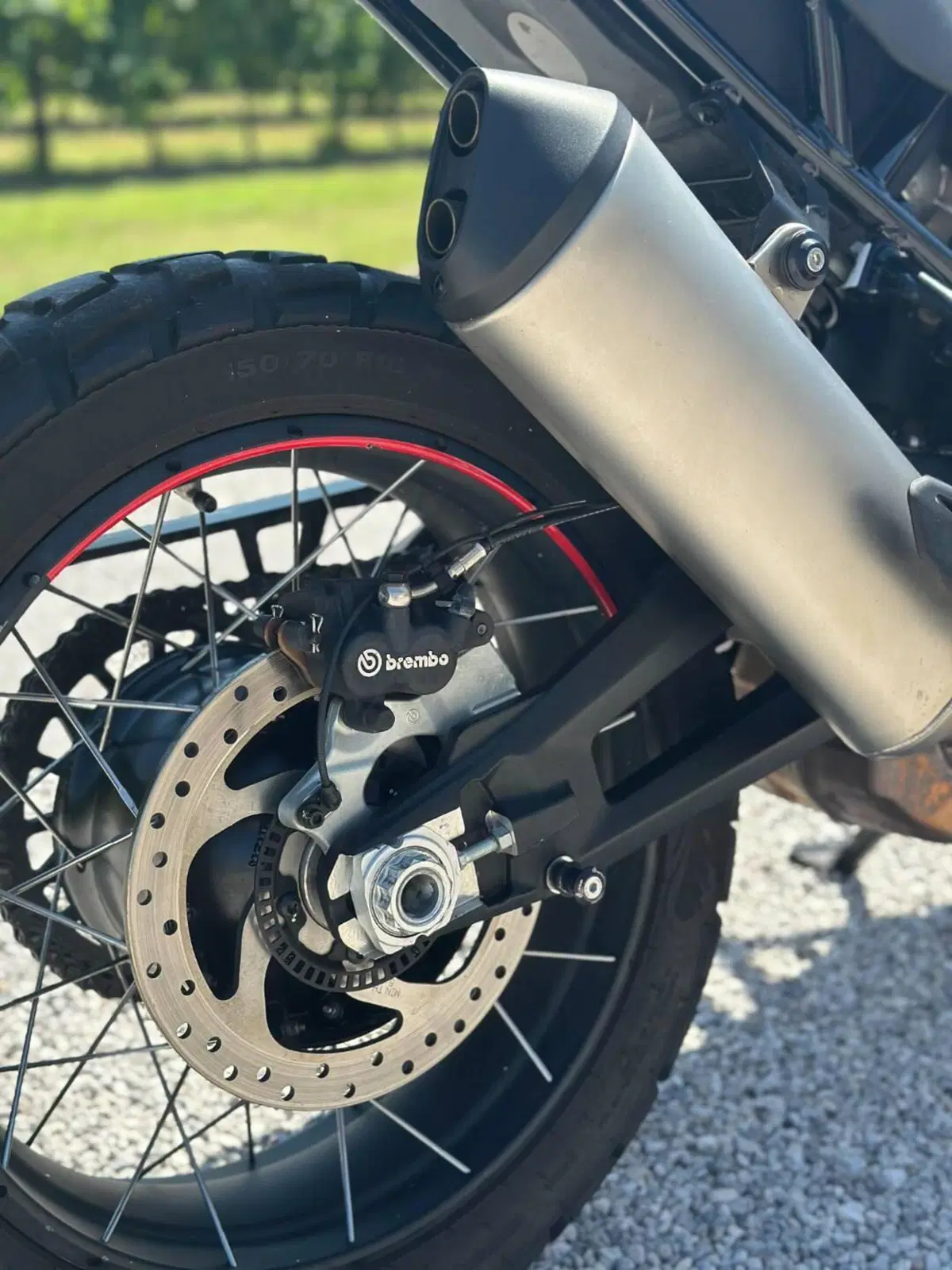 Ducati DesertX (2022 - 25) (15)