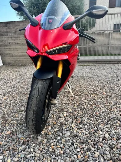 Ducati Panigale V2 S (2025 - 26) usata