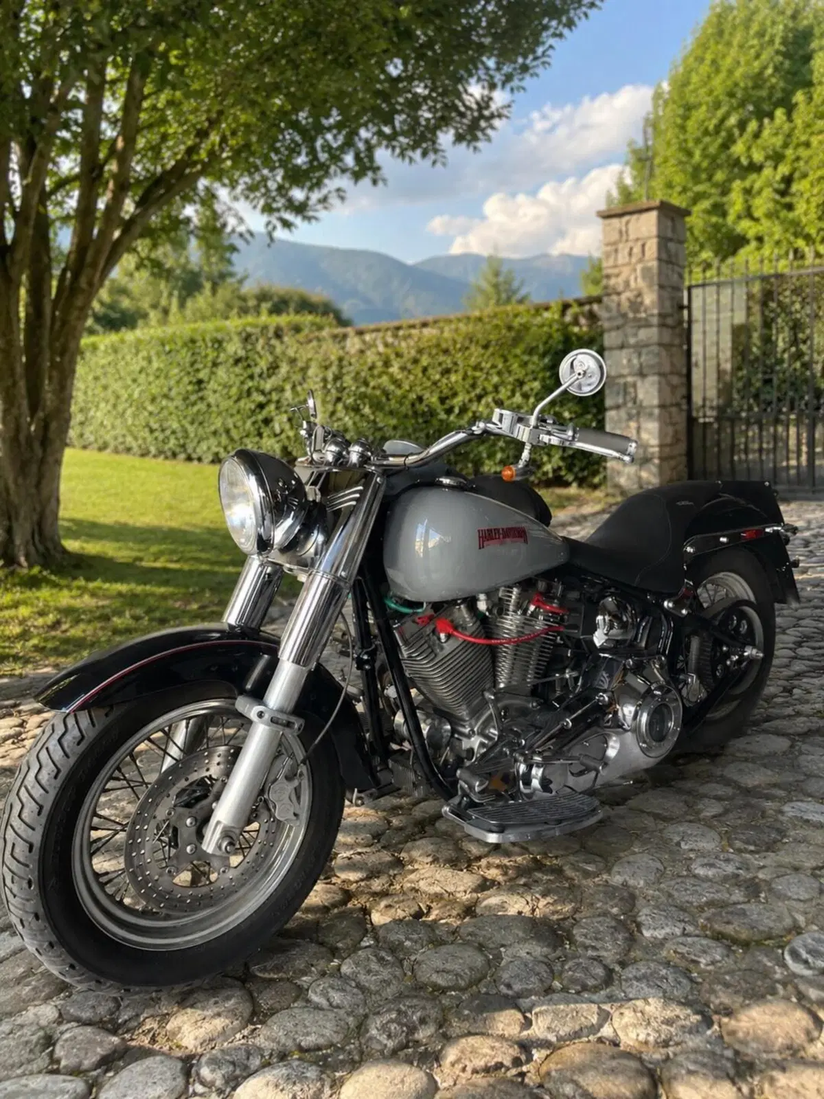 Harley-Davidson 1340 Heritage Special (1993 - 96) (8)