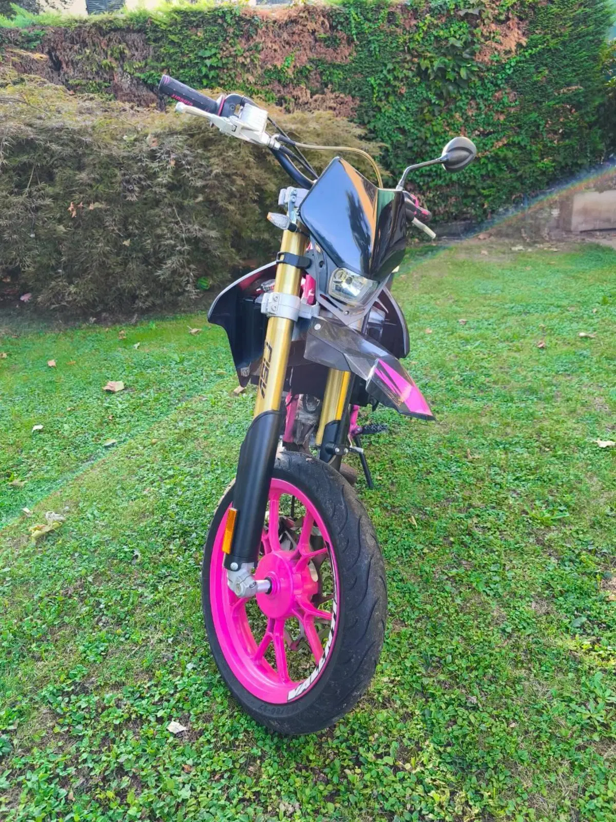 Valenti Racing SM 50 (2023 - 24) (4)