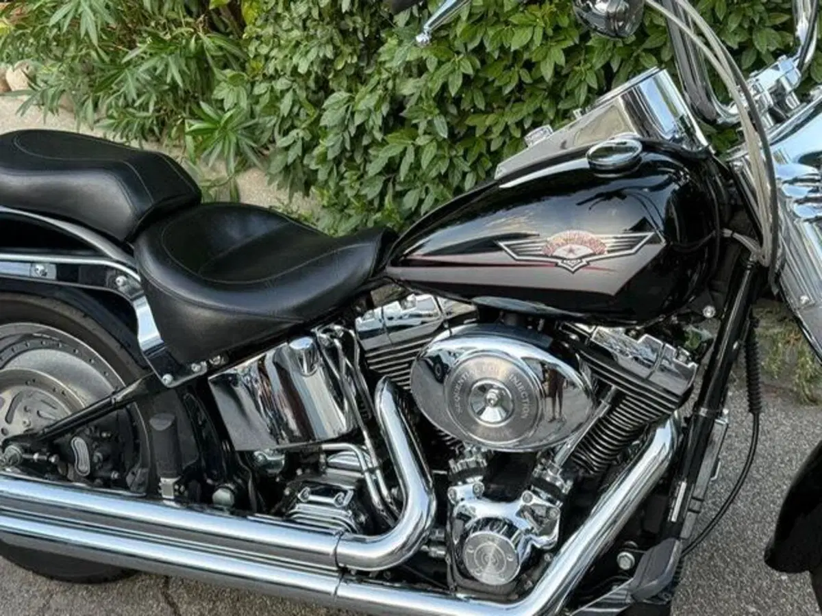 Harley-Davidson 1450 Fat Boy (1999 - 02) - FLSTF (5)