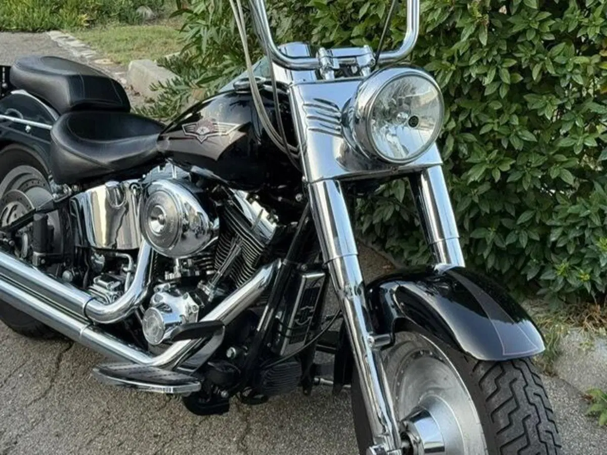 Harley-Davidson 1450 Fat Boy (1999 - 02) - FLSTF (7)