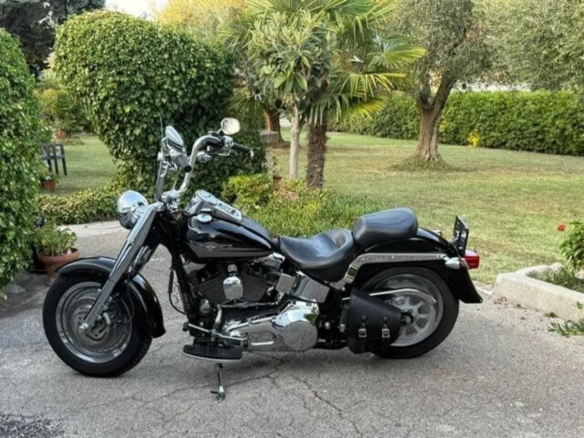 Harley-Davidson 1450 Fat Boy (1999 - 02) - FLSTF (12)