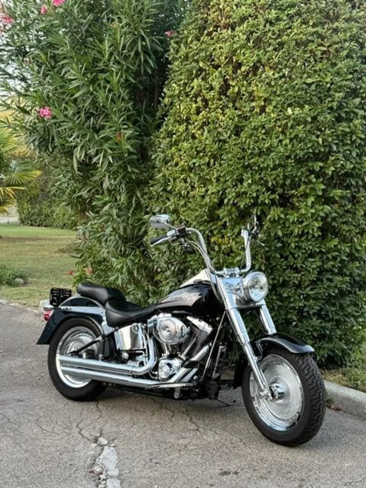 Harley-Davidson 1450 Fat Boy (1999 - 02) - FLSTF (14)
