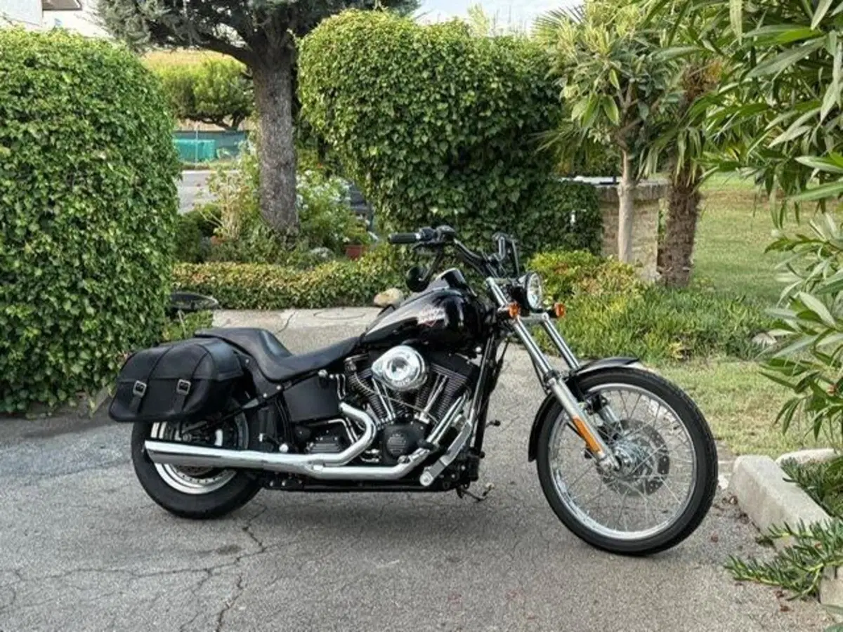 Harley-Davidson 1450 Night Train (1999 - 03) - FXSTB (3)