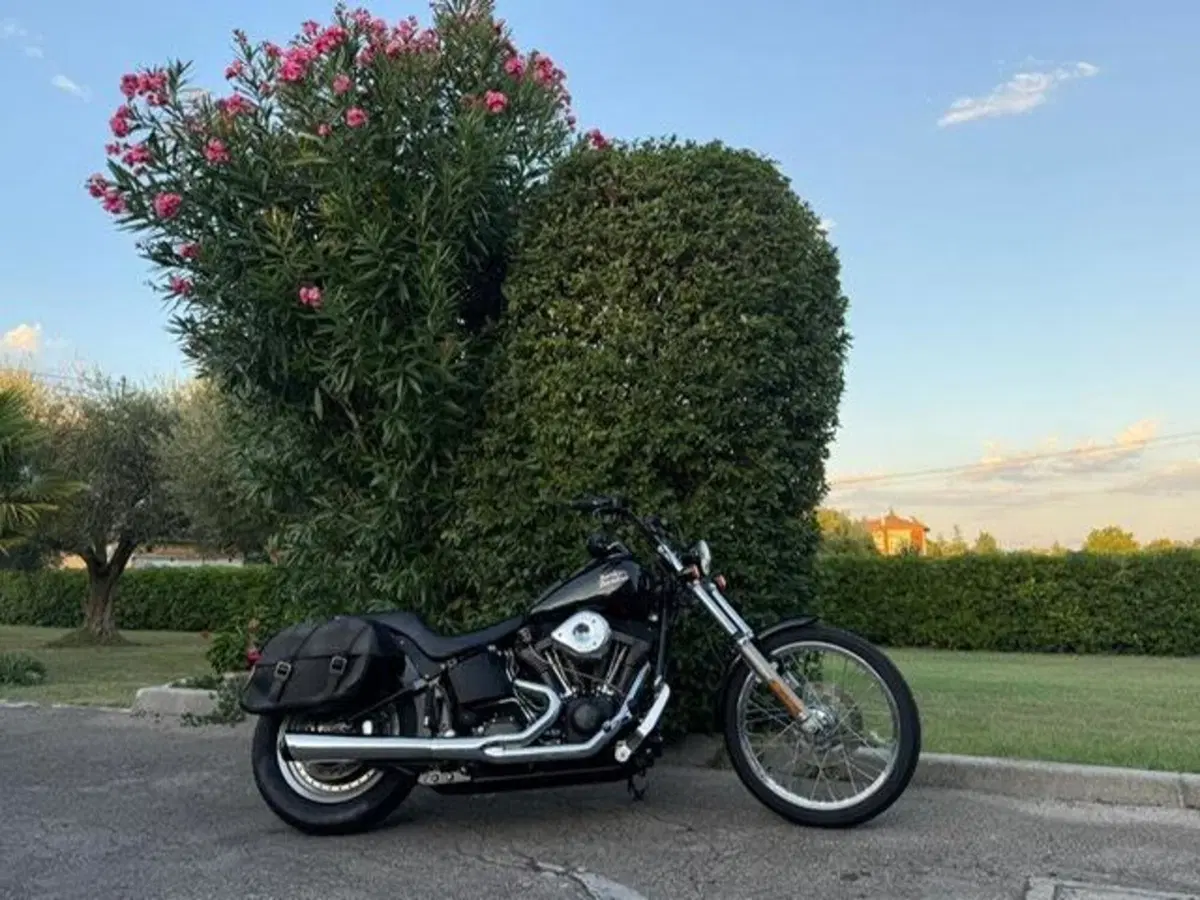 Harley-Davidson 1450 Night Train (1999 - 03) - FXSTB (5)