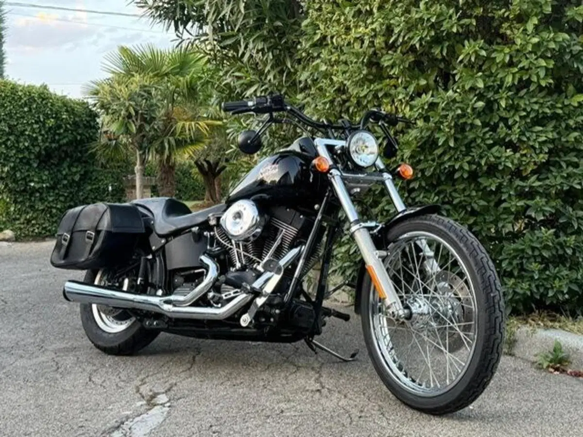 Harley-Davidson 1450 Night Train (1999 - 03) - FXSTB (11)