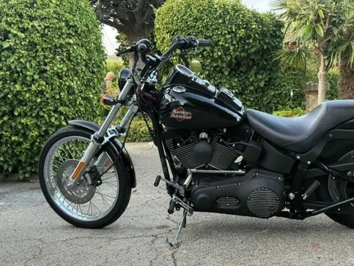 Harley-Davidson 1450 Night Train (1999 - 03) - FXSTB (15)