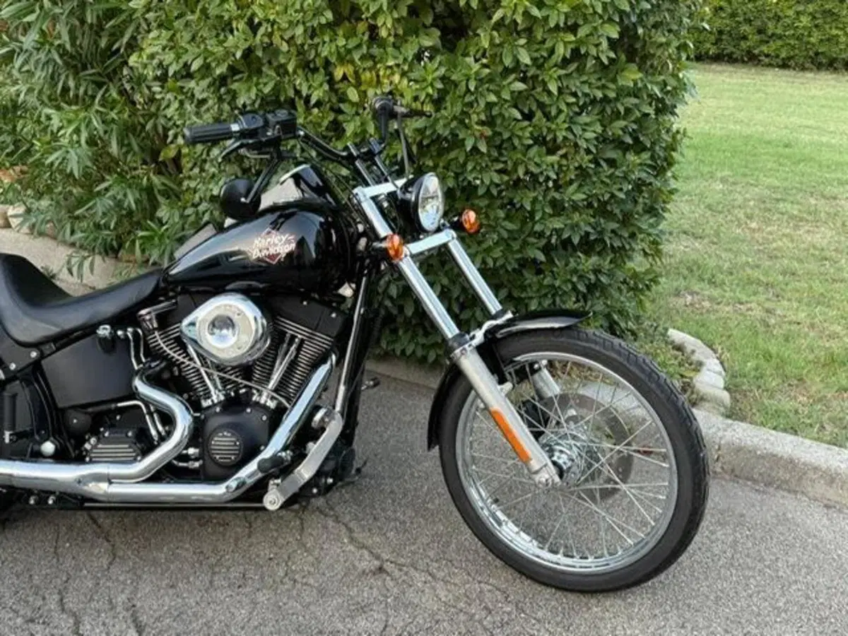 Harley-Davidson 1450 Night Train (1999 - 03) - FXSTB (16)