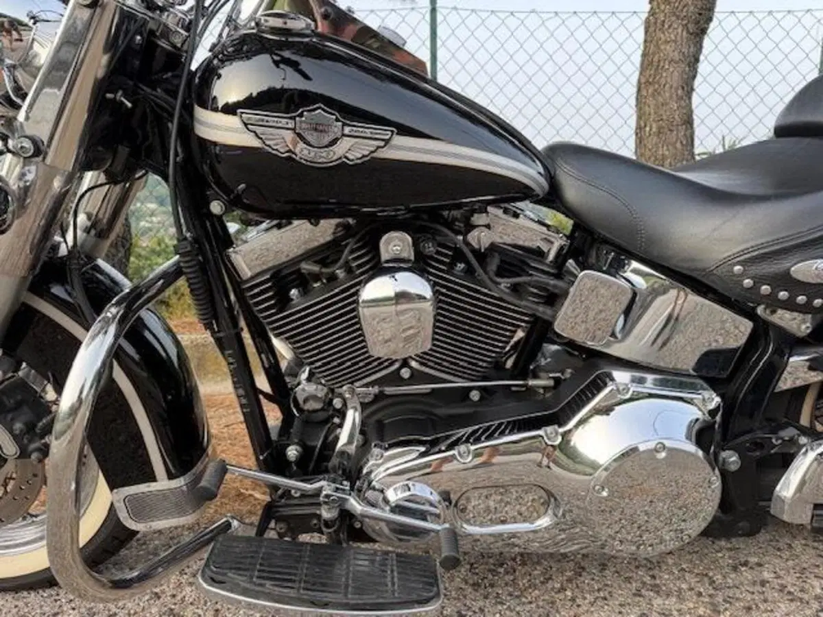 Harley-Davidson 1450 Heritage Classic (2003 - 05) - FLSTCI (4)