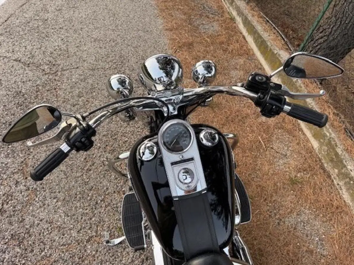 Harley-Davidson 1450 Heritage Classic (2003 - 05) - FLSTCI (10)