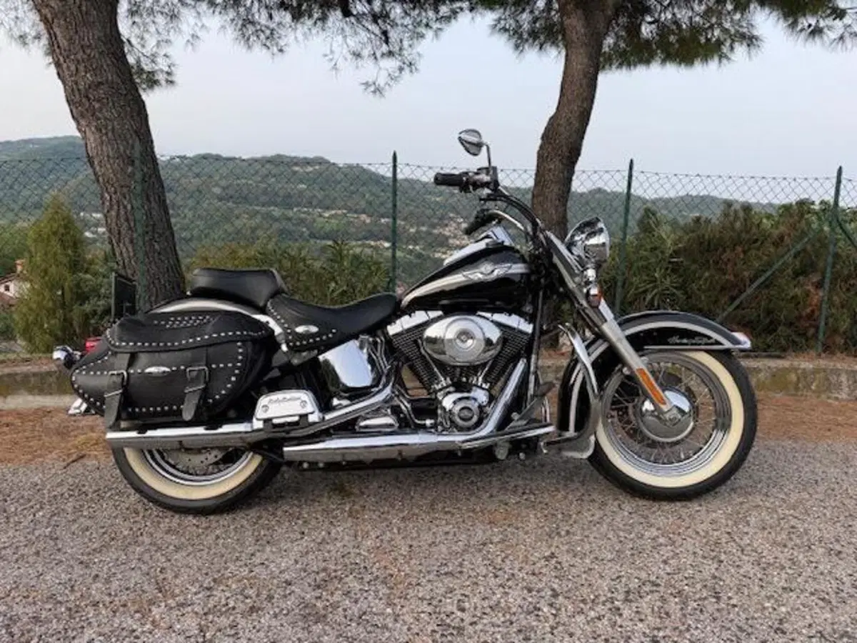 Harley-Davidson 1450 Heritage Classic (2003 - 05) - FLSTCI (14)