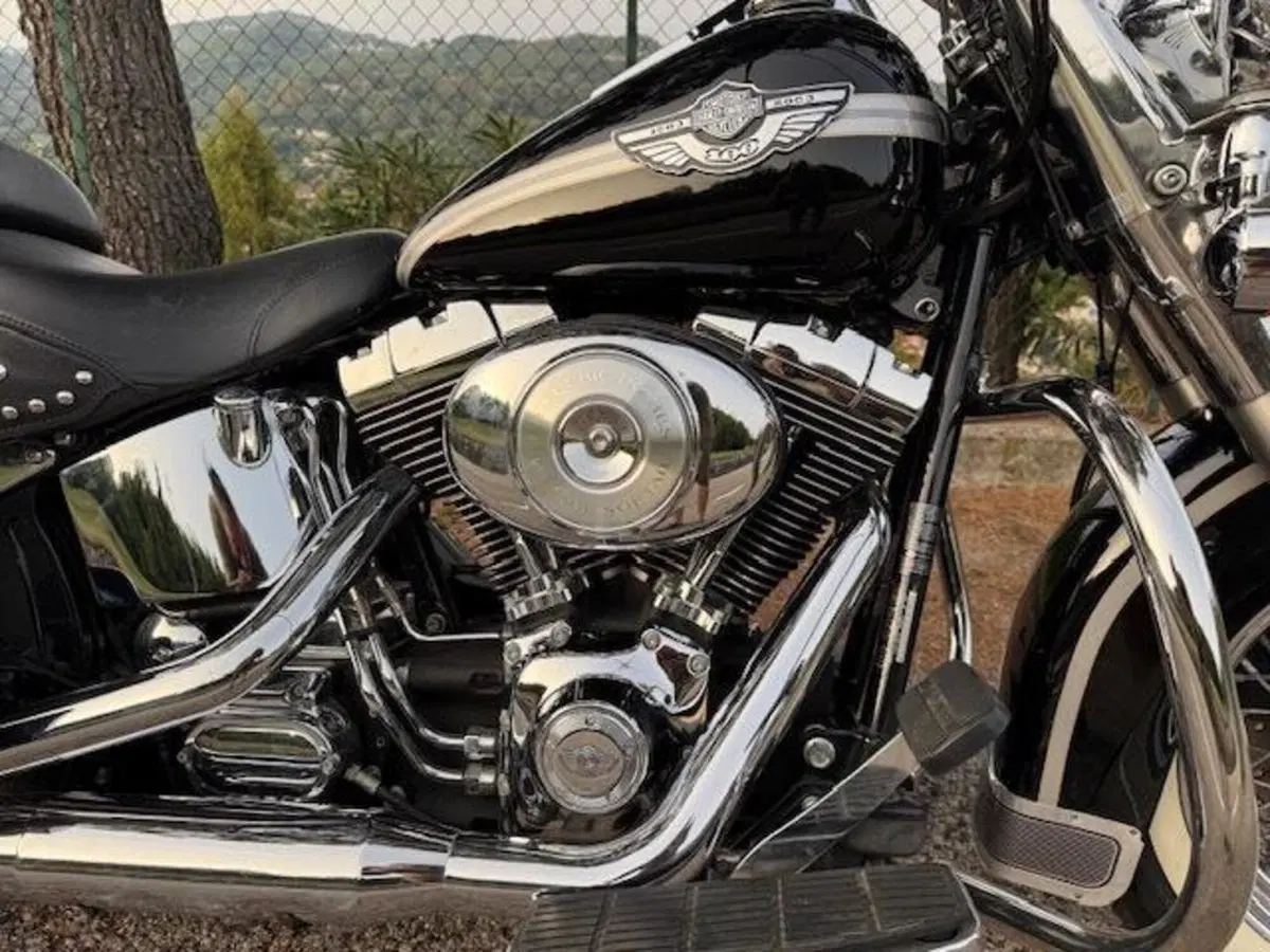 Harley-Davidson 1450 Heritage Classic (2003 - 05) - FLSTCI (15)