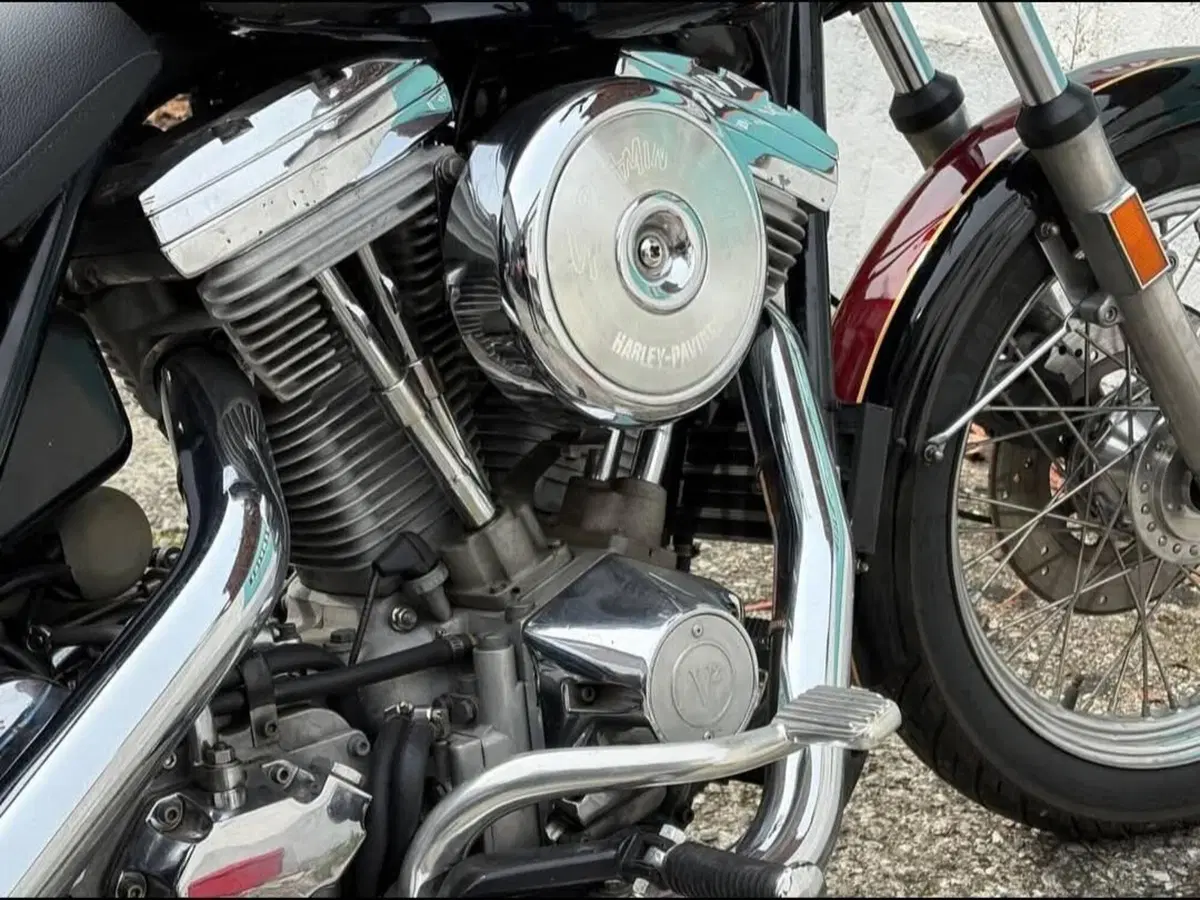 Harley-Davidson FXRDG (2)