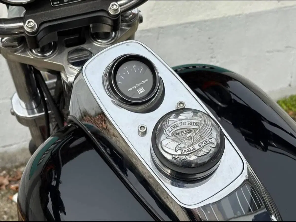 Harley-Davidson FXRDG (5)