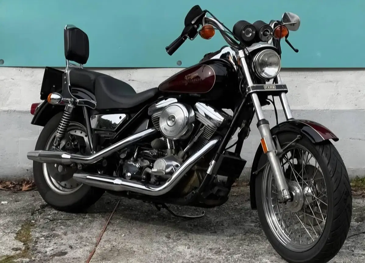 Harley-Davidson FXRDG (9)