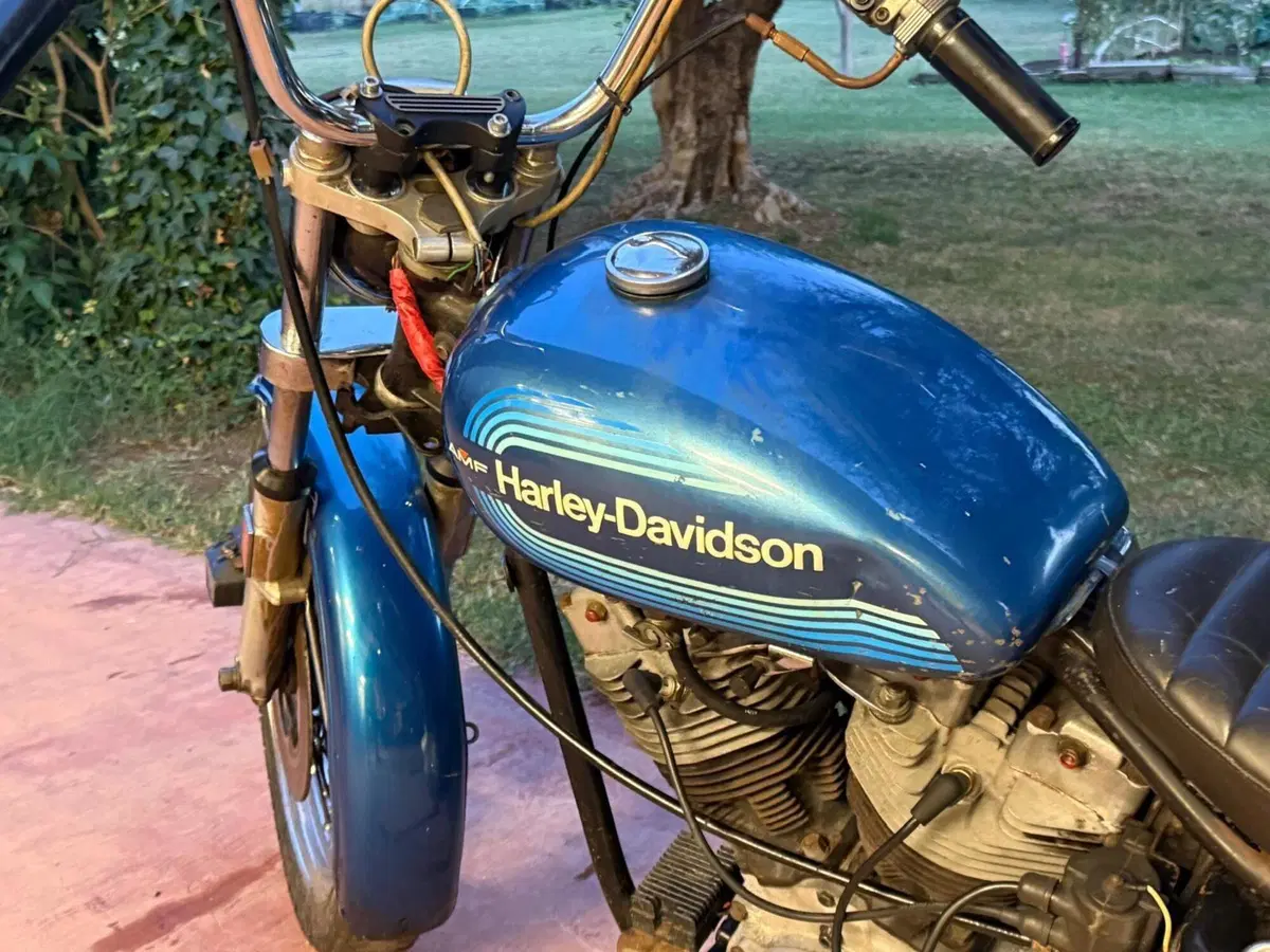 Harley-Davidson FXE 1200 Shovelhead (2)