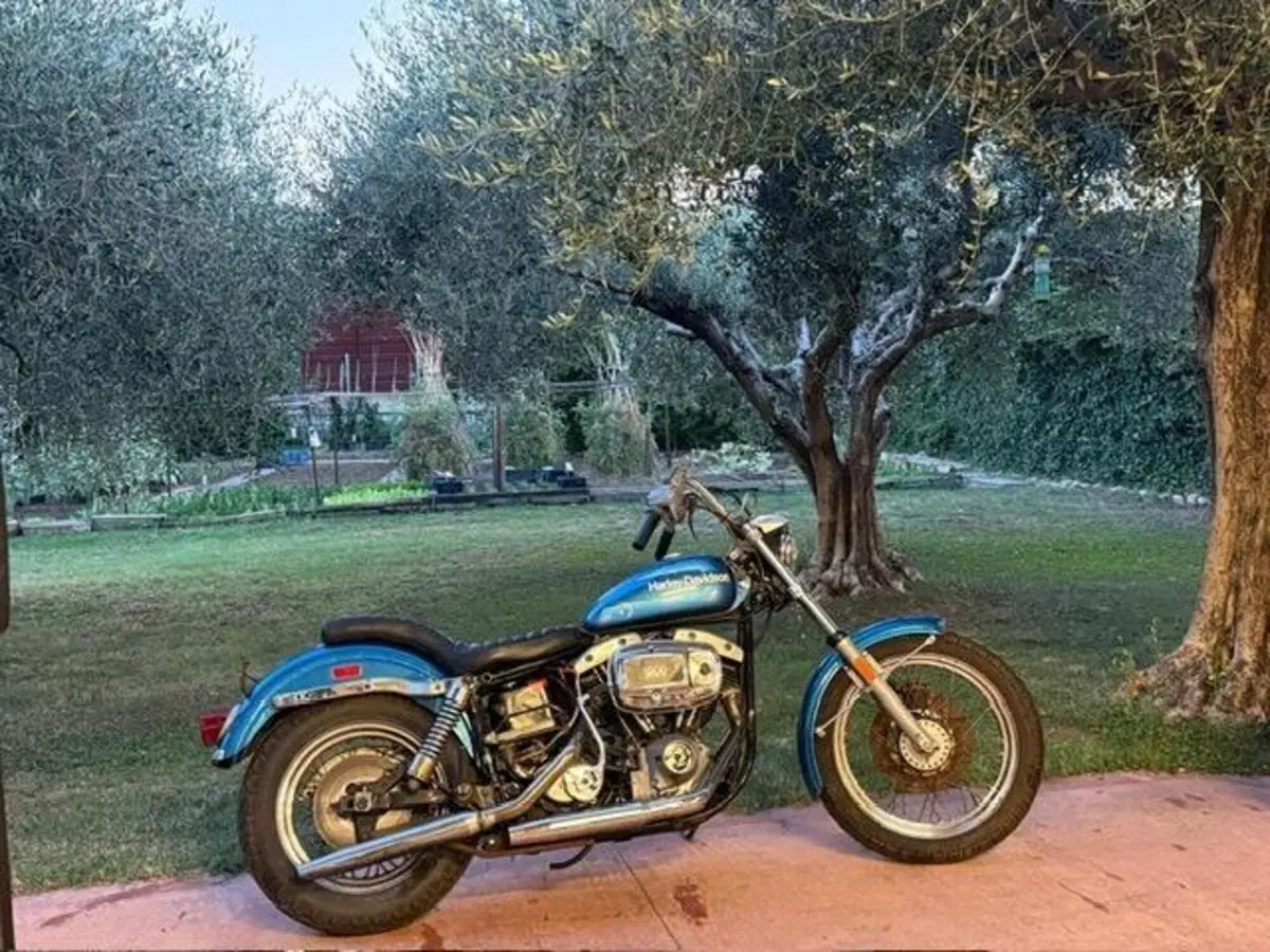 Harley-Davidson FXE 1200 Shovelhead (3)